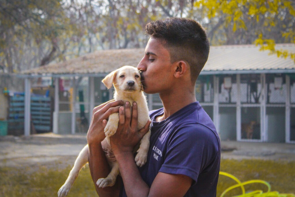 volunteer animal shelter near me | Blue cross Pune